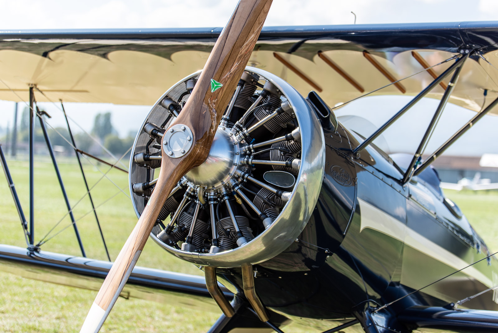 190824 155702 DSC 8568